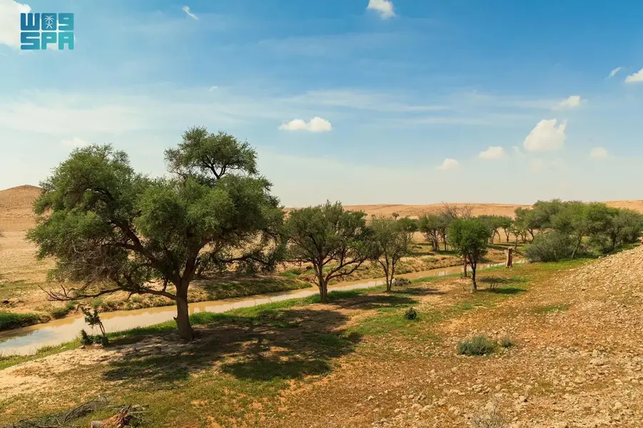 Imam Abdulaziz Royal Reserve: Riyadh’s Natural Wonderland of Rocks and Rare Wildlife
